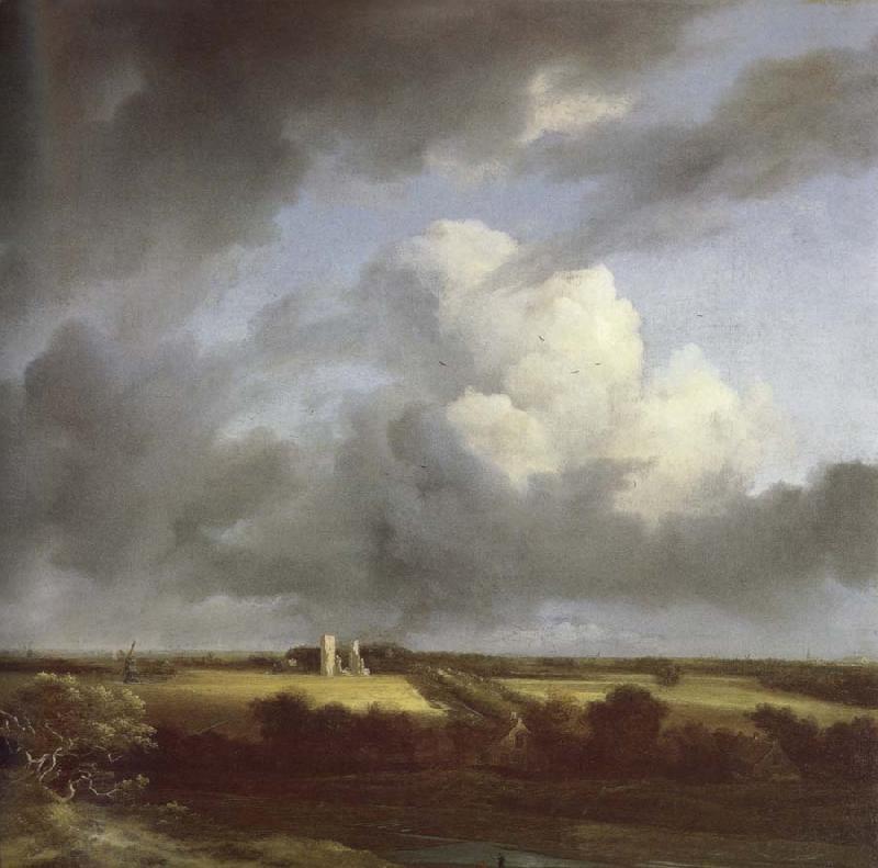 Jacob van Ruisdael View of the Ruins of Huis ter Kleef and Haarlem oil painting picture